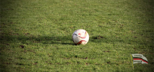 Ein Spielball auf dem Rasen (Symbolfoto: Hell)