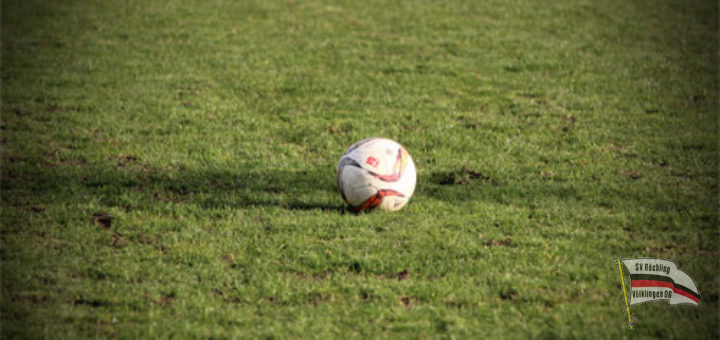 Ein Spielball auf dem Rasen (Symbolfoto: Hell)