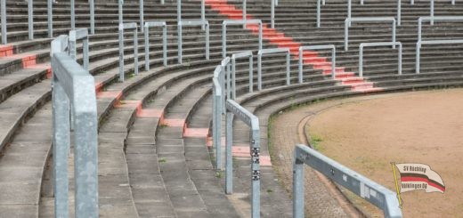 Stehränge im Hermann-Neuberger-Stadion (Foto: Hell)